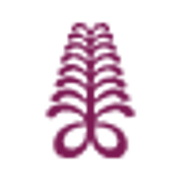 Aivy Therapy and Consult Logo
